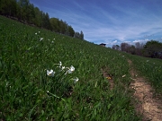 63 passaggio in cascina...